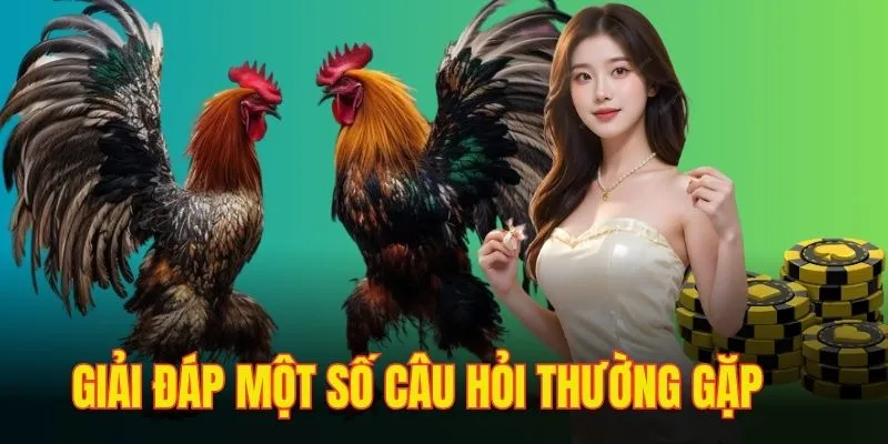 Vé cược sẽ bị hủy trong một vài trường hợp và được hoàn tiền