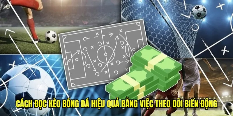 Cách đọc kèo bóng đá hiệu quả bằng việc theo dõi biến động