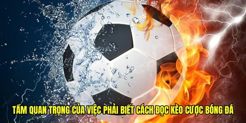 Tầm quan trọng của việc phải biết cách đọc kèo cược bóng đá