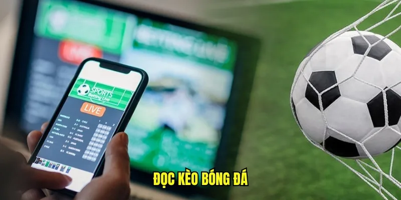 Đọc Kèo Bóng Đá - Chia Sẻ Kỹ Thuật Đọc Kèo Thể Thao Vua