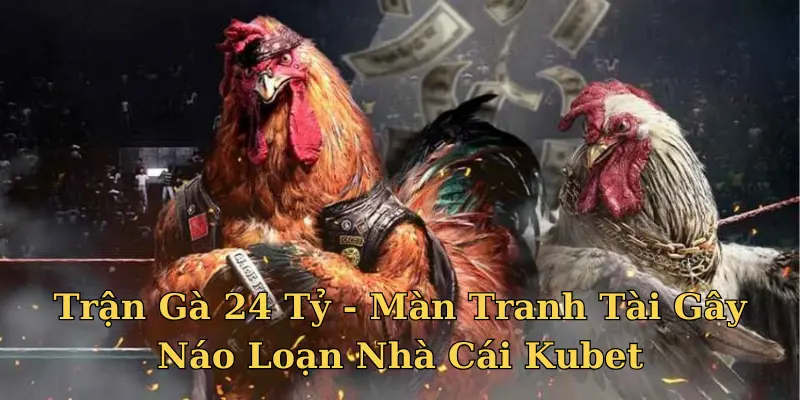 Trận Gà 24 Tỷ - Màn Tranh Tài Gây Náo Loạn Nhà Cái Kubet