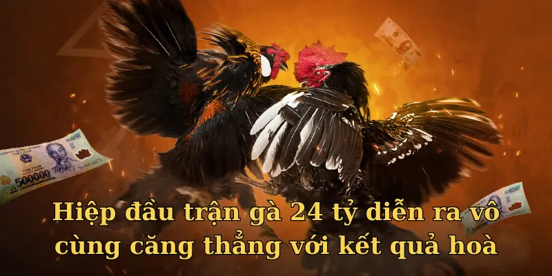 Hiệp đầu trận gà 24 tỷ diễn ra vô cùng căng thẳng với kết quả hoà